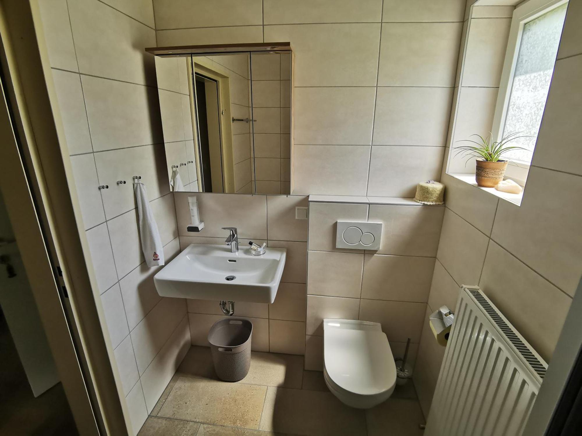 Apartment & Sonnleiten